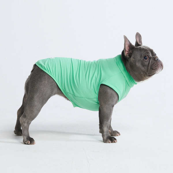 Mint Shirt