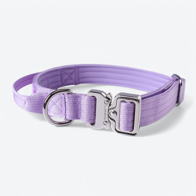 Collare tattico per cani - Lilla