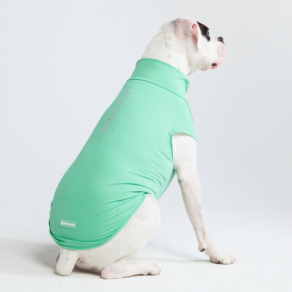 Maglietta per cani Sunblock - Menta
