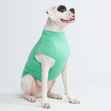 Maglietta per cani Sunblock - Menta