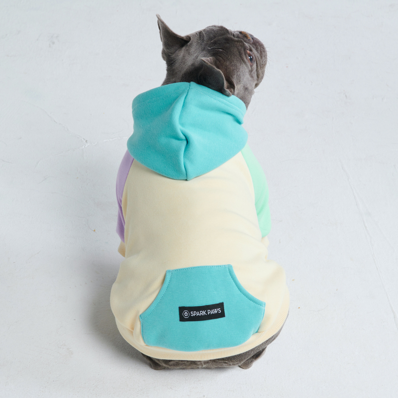 Maglione per Cani - Costiero