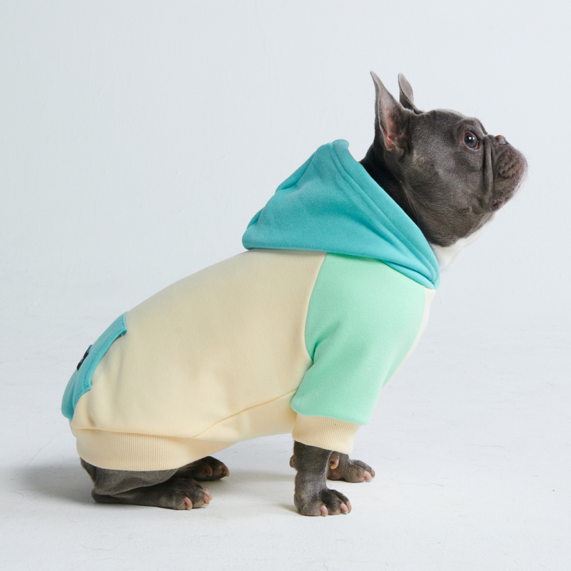 Maglione per Cani - Costiero