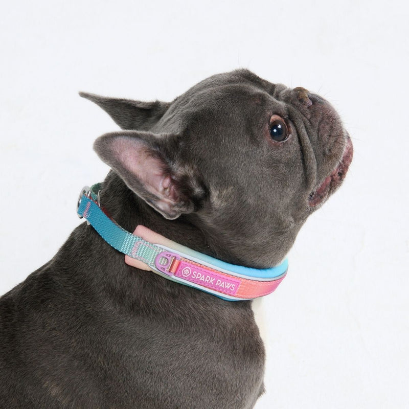 Pastel Icing Martingale Collar||size:A,B