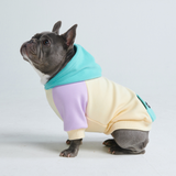 Maglione per Cani - Costiero