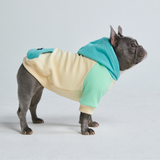 Maglione per Cani - Costiero