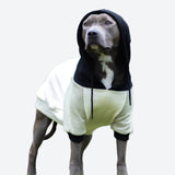Maglione per Cani - Crema d'oliva