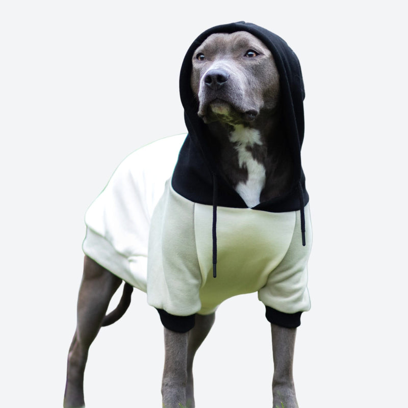 Maglione per Cani - Crema d'oliva