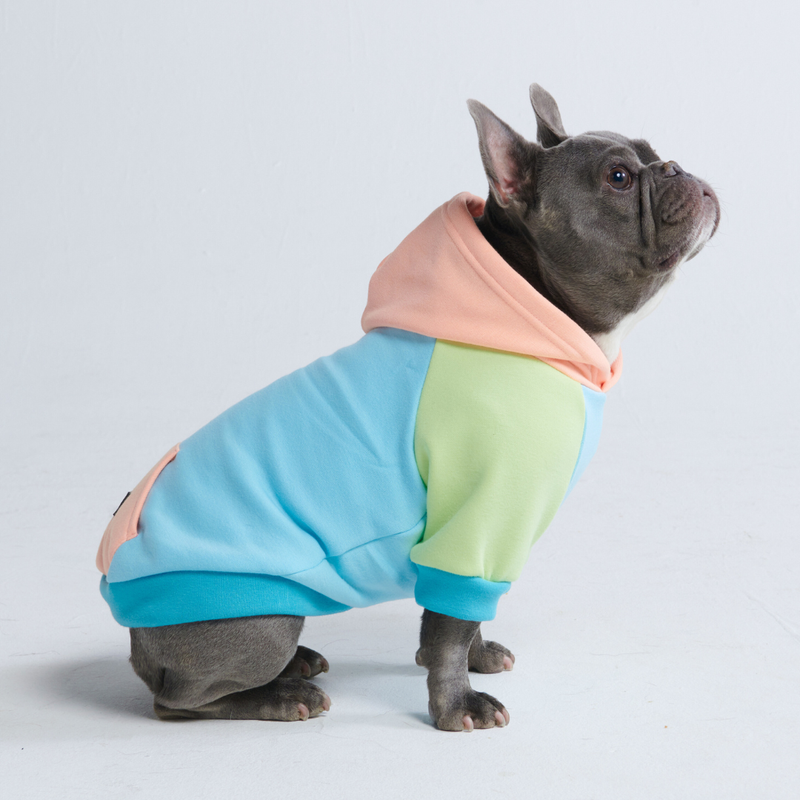 Jelly Bean Felpa per Cane
