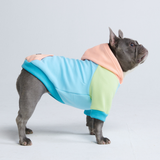 Jelly Bean Felpa per Cane