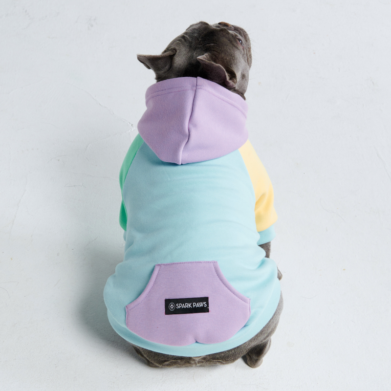 Maglione per Cani - Daydream