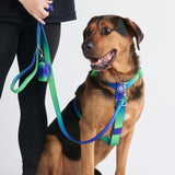 Set di imbracatura per cani Comfort Control No-Pull - Lime Wave