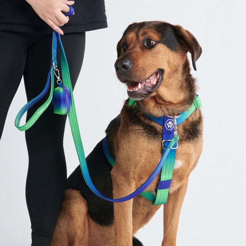 Set di imbracatura per cani Comfort Control No-Pull - Lime Wave