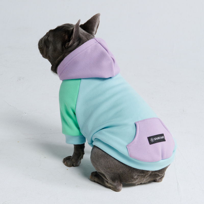 Maglione per Cani - Daydream