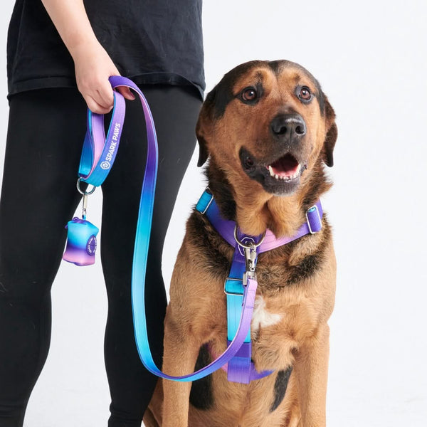 Set di imbracatura per cani Comfort Control No-Pull - 90s Retro