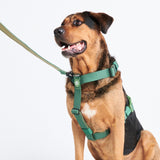 Set di imbracatura per cani Comfort Control No-Pull - Verde Militare