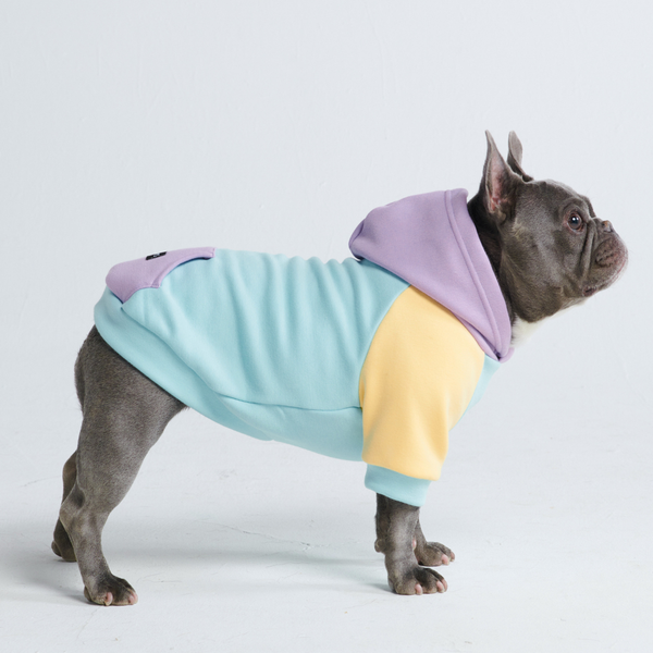 Maglione per Cani - Daydream