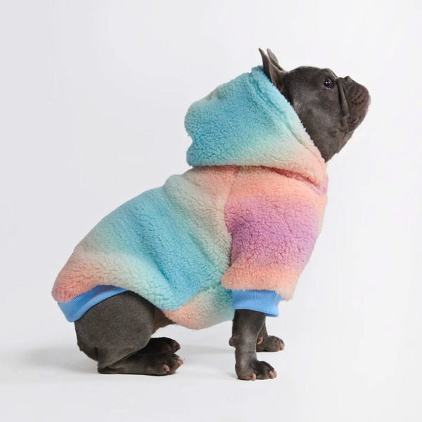 Maglione Coperta Fluffdreams per Cani - Glassa pastello