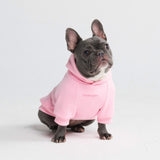 Essential Dog Hoodie - Baby Pink