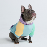 Maglione per Cani - Daydream