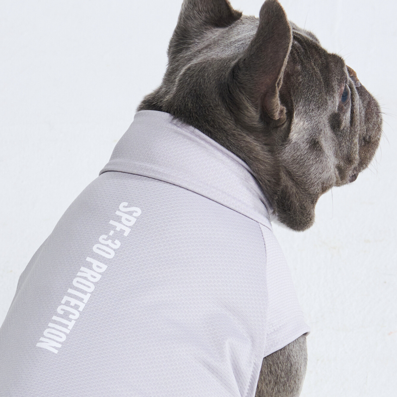 Maglietta per cani Sunblock - Grigia