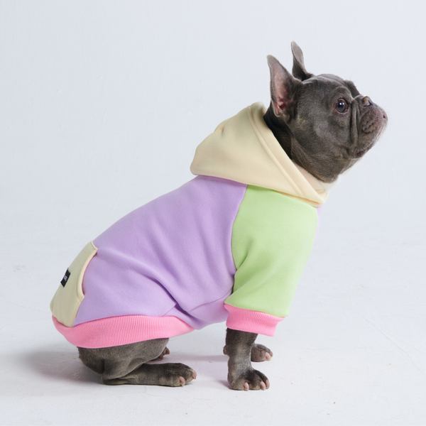 Maglione per Cani - Menta di Bacche