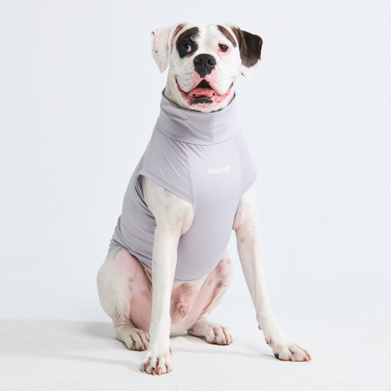 Maglietta per cani Sunblock - Grigia