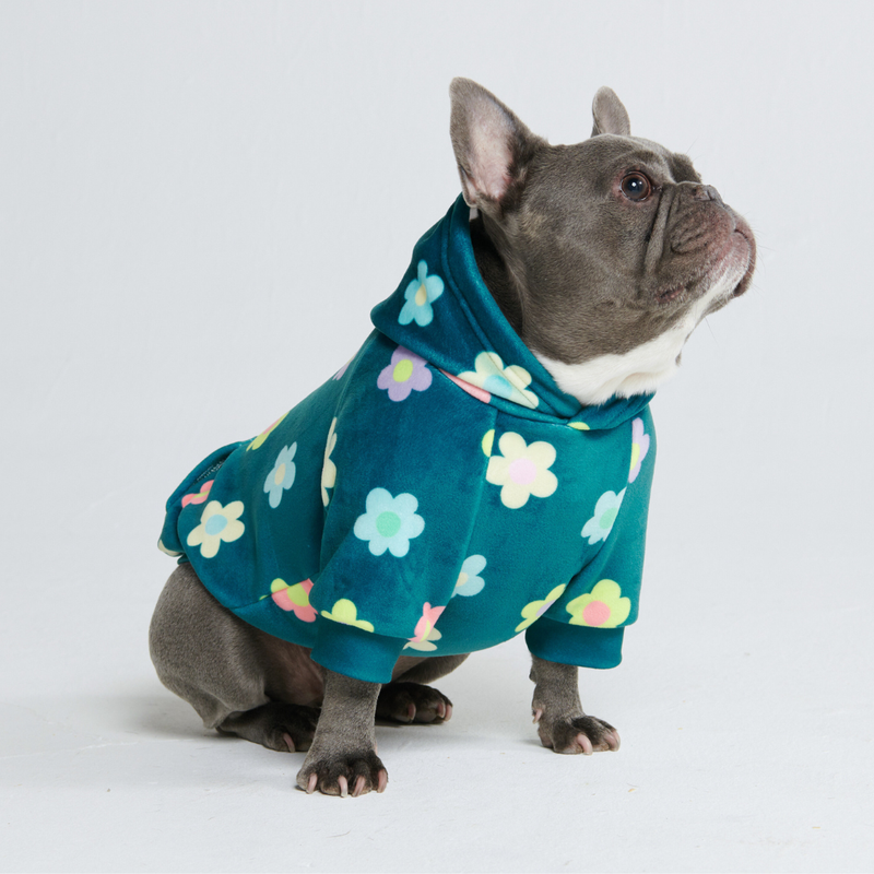 Daisy Felpa per Cane - Verde