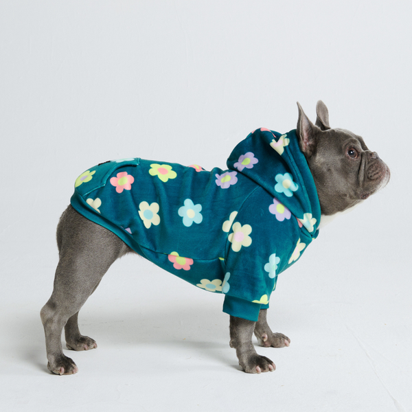 Daisy Felpa per Cane - Verde