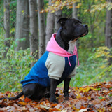 Felpa con Cappuccio per Cani Marina, Oliva e Rosa