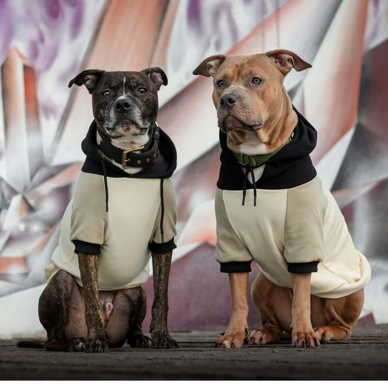 Maglione per Cani - Crema d'oliva
