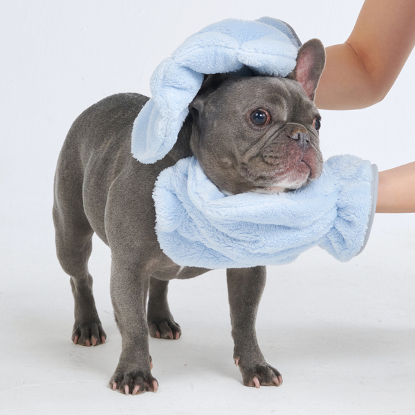 Guanto asciugamano per cani