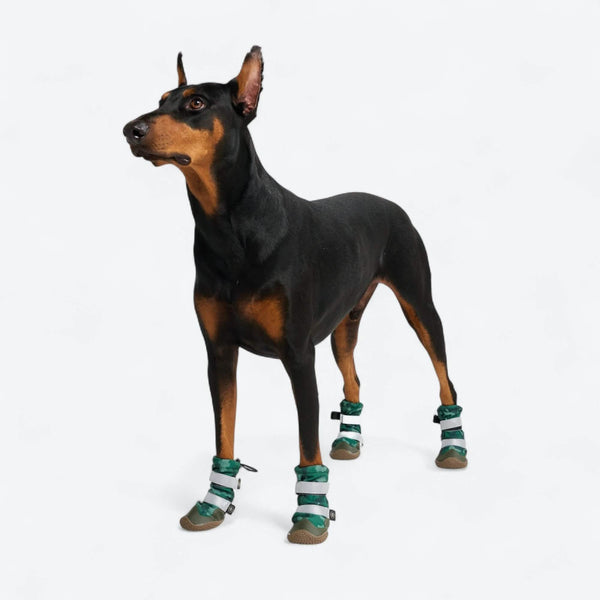 Stivali per cani Flex Shell resistenti all'acqua - Camo Verde