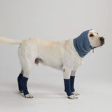 Protettore per Cuffie per Orecchie Calmanti Antiansia per Cani - Blu Navy