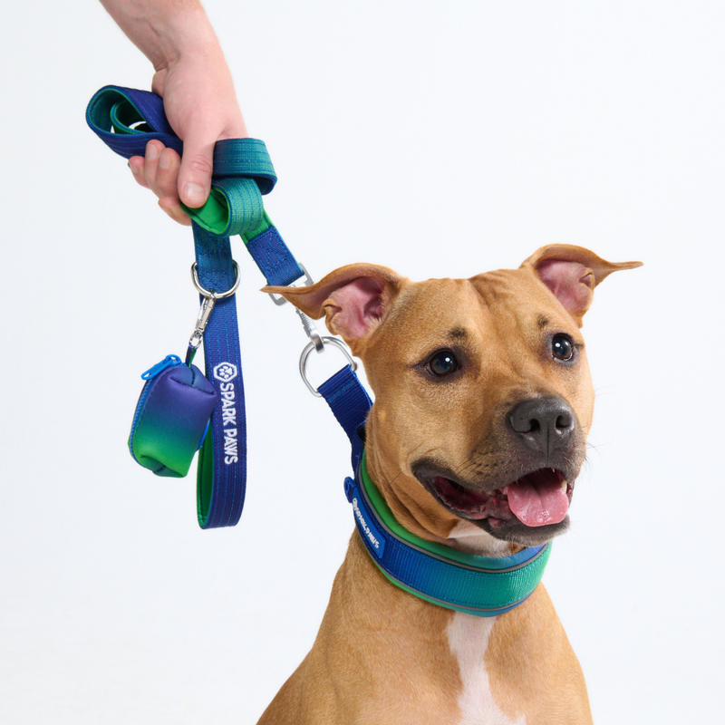 Lime Wave Collar||size:C,D,E