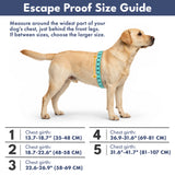Lime Wave Escape Proof||size:1,2,3,4,5