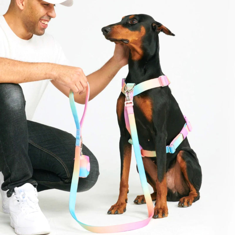 Set di imbracatura per cani Comfort Control No-Pull - Glassa pastello
