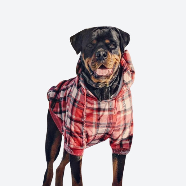 Maglione Plaid per Cani - Quadretti rossi