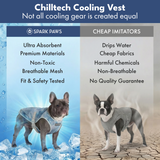 Ice Blue Snow Cone||size:S,M,L,XL,2XL,3XL,4XL,5XL