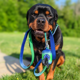 Lime Wave Collar
