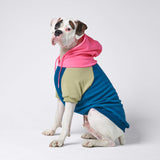 Color Block Dog Hoodies