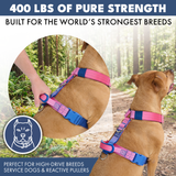 Imbracatura per cani Comfort Control No-Pull - Snow Cone