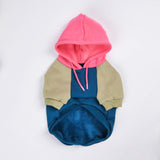 Color Block Dog Hoodies