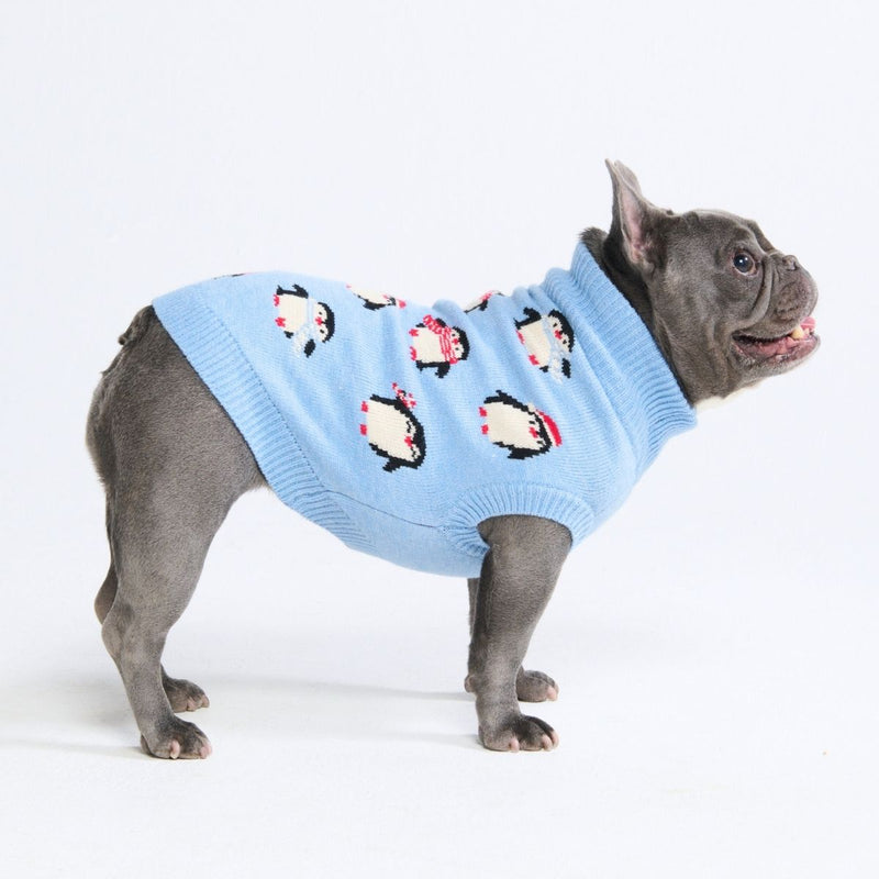 Maglione per cani – Pinguino