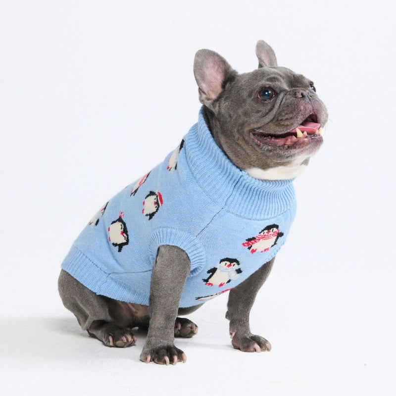 Maglione per cani – Pinguino