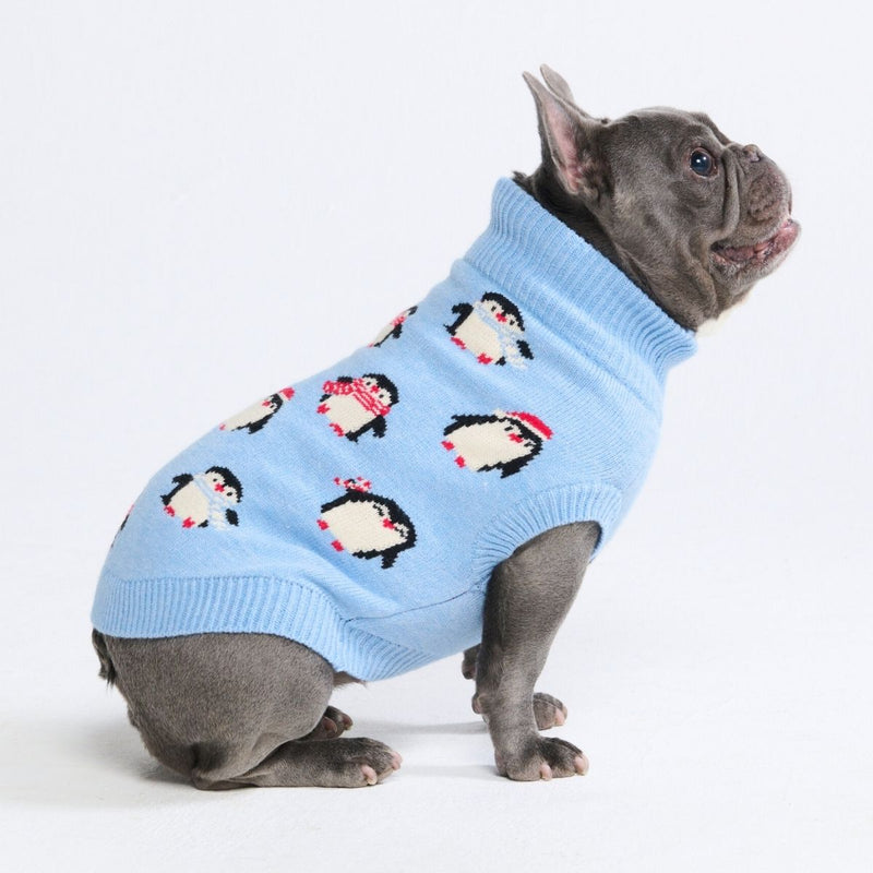 Maglione per cani – Pinguino