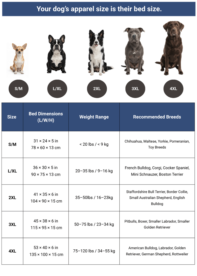 Guida alle dimensioni