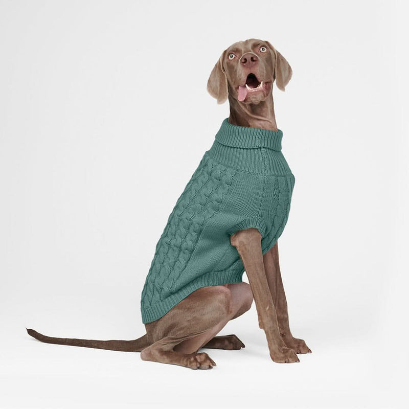 Maglione a trecce per can - Verde pino