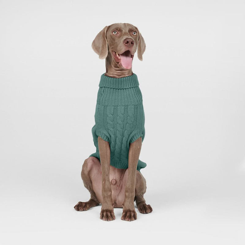 Maglione a trecce per can - Verde pino