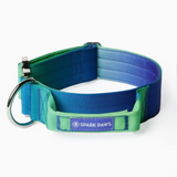 Collare tattico per cani - Lime Wave