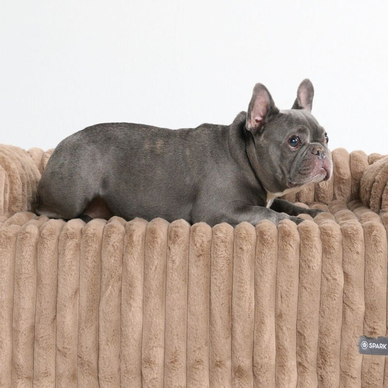 Cuccia Copridivano di Lusso - Marrone